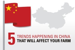 5 China Trends