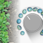how low can you go with soybean planting population