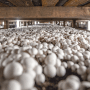 A2838172-3D82-4327-BB4F745FAD2FF3FA.gif