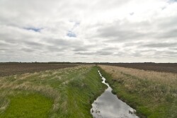 By Nov. 1, landowners and farmers in Minnesota must have buffer strips—consisting of 16½ feet in width of perennial vegetation—in place around both sides of any public ditches on their land. 