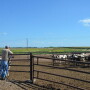 Dairy Farm Leadership_Wyatt Bechtel