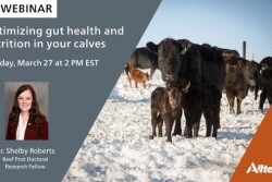 The webinar takes place on March 27 at 2:00 PM Eastern.