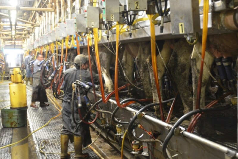 DT_Dairy_Parlor_Employees