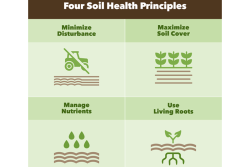 Four-Soil-Health-resize.png