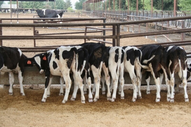 Dairy operations must be nominated by professionals, such as veterinarians, extension agents, artificial insemination and pharmaceutical company representatives.