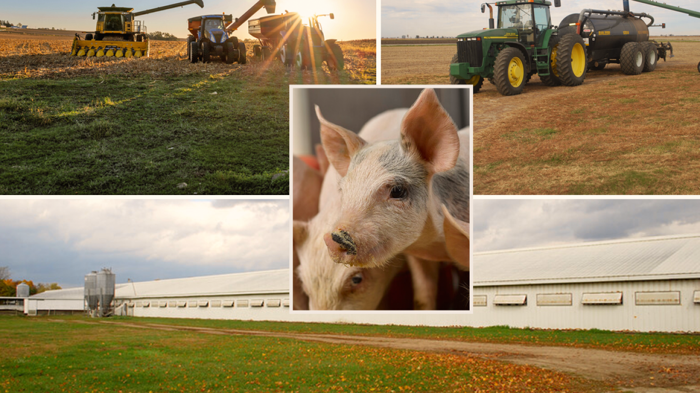 Activity Menu Planner Fall Seasonal Shifts Trigger Rise in Swine Viral Activity - Pork Business