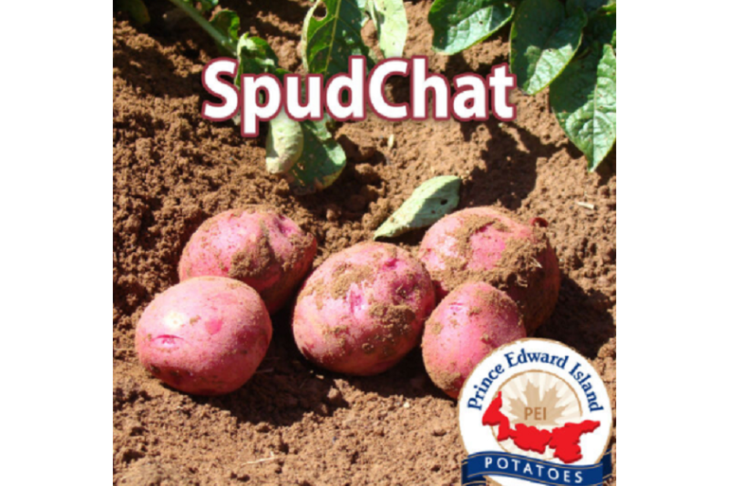 spudchat