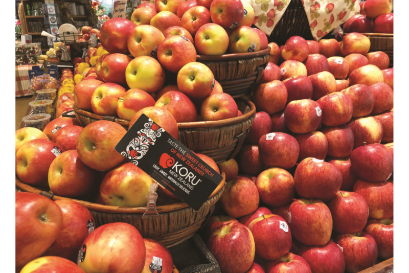 Koru apple display (1).png