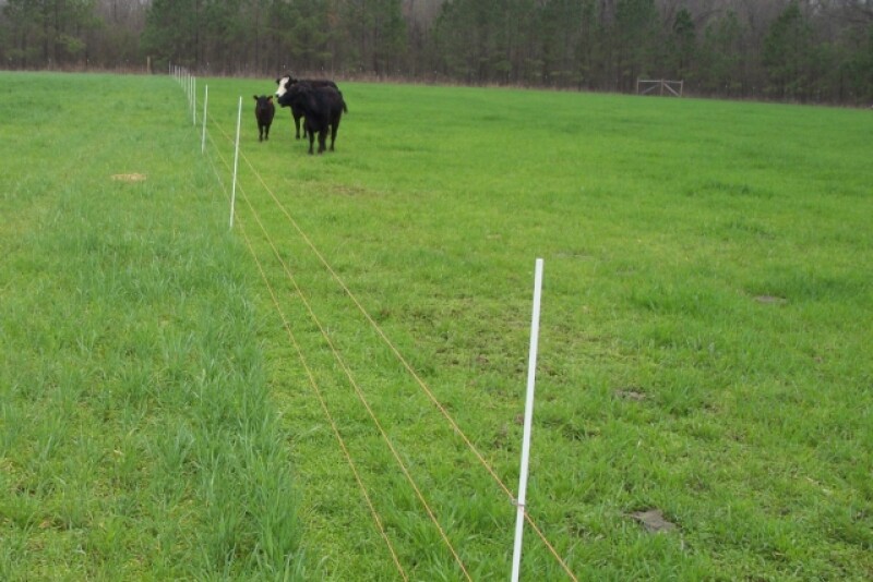 strip_grazing