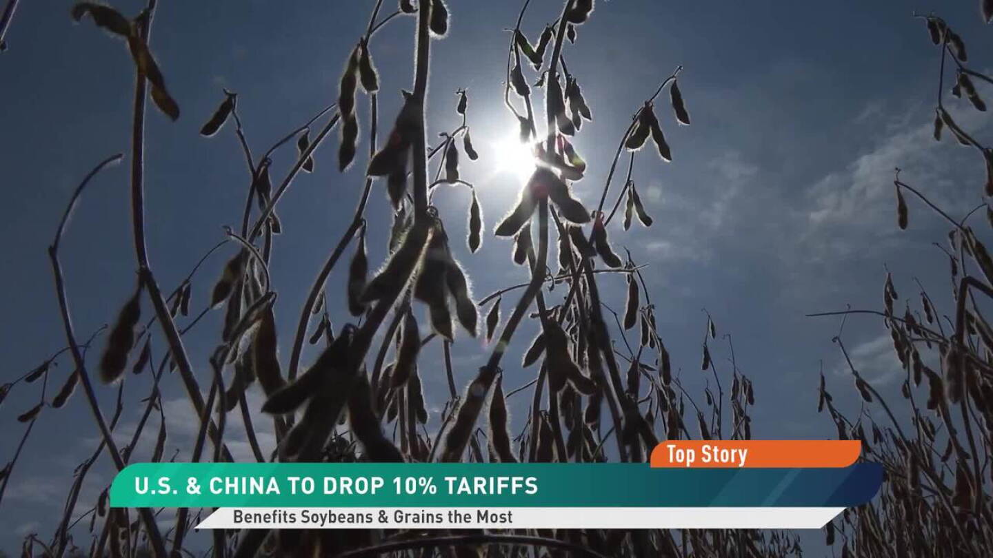 Arlan Rooks China to Drop 10% Tariff on U.S. Ag Goods, Including Soybeans - AgWeb