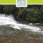 Fall fly fishing for salmon.
