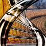 USDA will not seek to regulate gene editing technologies.