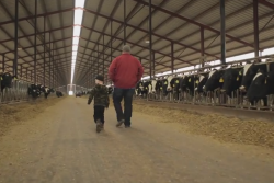 South_Lakes_Dairy_(barn)
