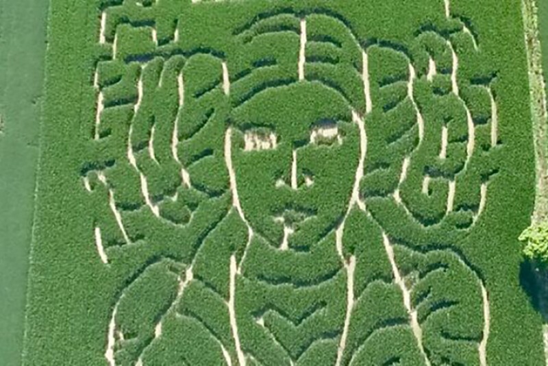 Carrie Fisher Maze