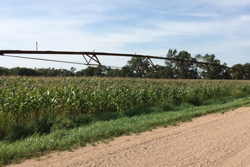 pivot corn irrigation irrigated corn south dakota SD crop tour 2016