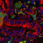 Genomic technology allowed Pirbright scientists to sequence and record the genetic code of each viral sample, which eliminates the need to maintain actual virus samples.