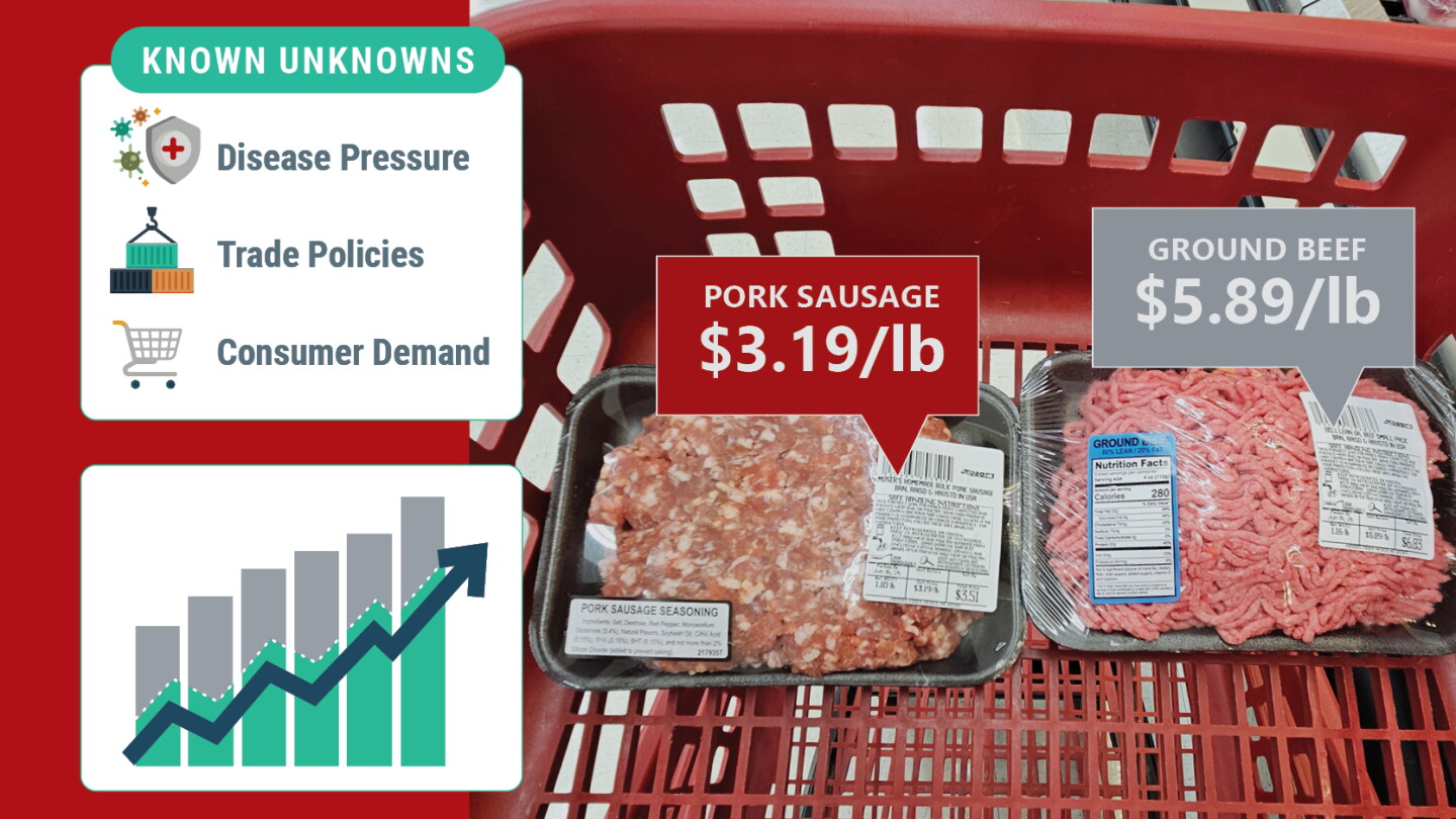 Knowns, Unknowns and the Bottom Line: What's Driving the Pork Outlook