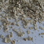 oatmeal