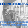 Breeding Herd Size