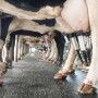 iStock-dairy-cows-millking-parlor.jpg
