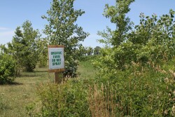 Rabo AgriFinance, with guidance from Pipeline Foods, has developed a new loan product that gives farmers the flexibility to receive the needed capital for upfront costs associated with changing production practices.