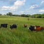 Cedar Vale Ranch