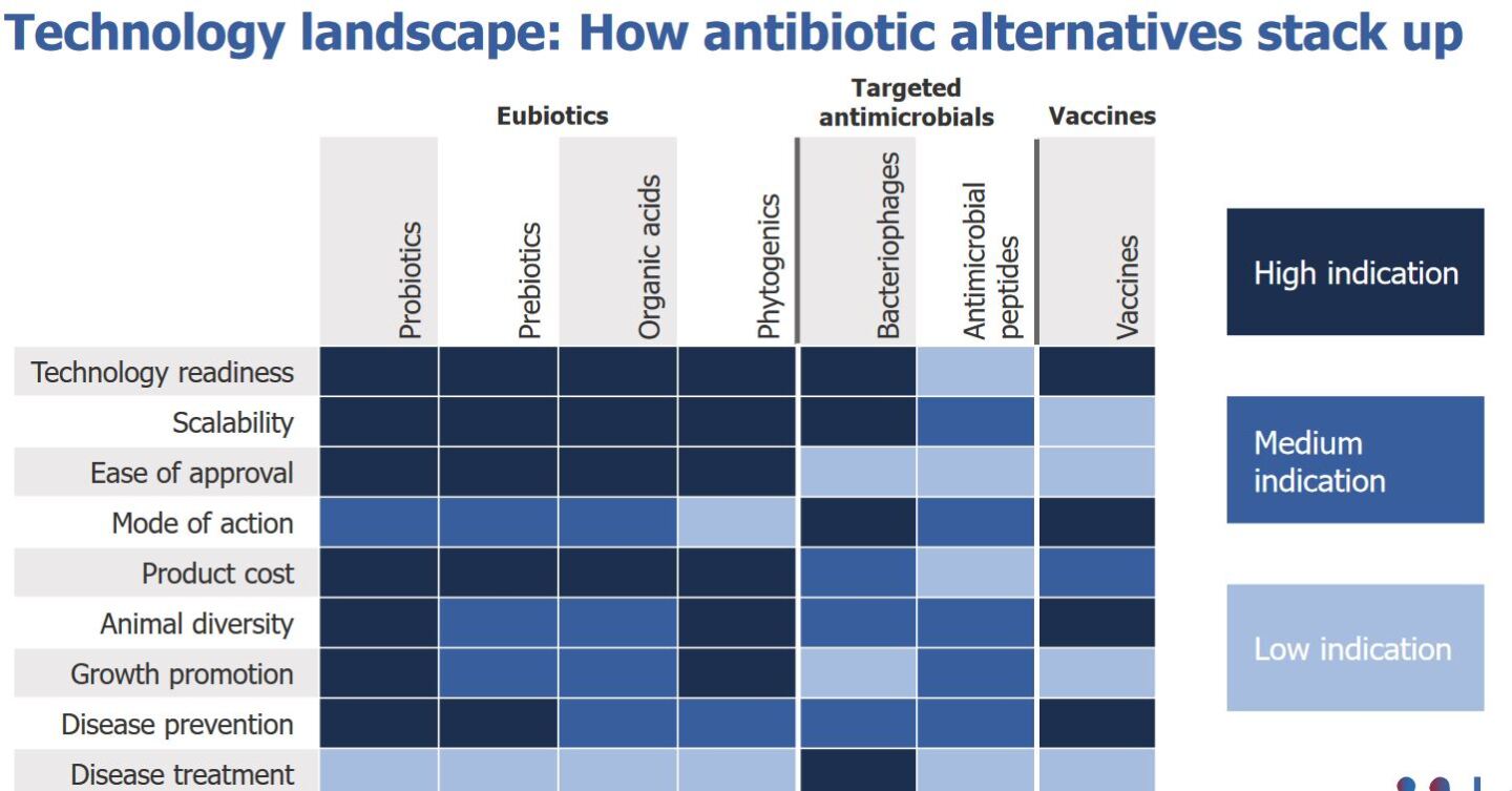 How%20antibiotic%20alternatives%20stack%20up.JPG