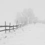 Fence in snow storm by Pexels by Pixabay