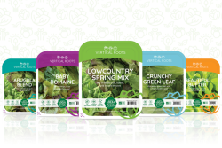 Vertical Roots new packaging.png