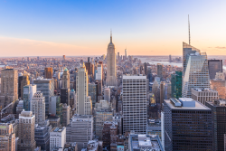 NY1_0.png