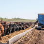 Zeman Ranch