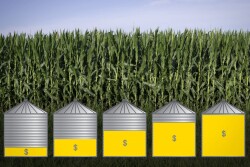 Percent of Corn Priced