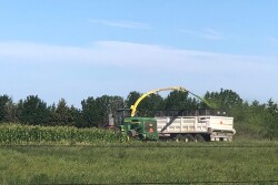 NDSU-Silage-840.jpg