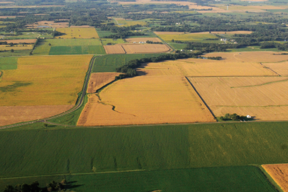 farmland