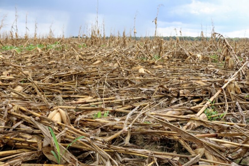 “At first, I was wondering if we’d already disked the field,” says producer Scott Flowers, Mattson, Miss. “I knew we hadn’t, but I couldn’t believe what I saw from a distance.”
