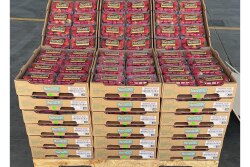 1st-Strawberries---3.9.21.jpg