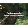 CAC-Recipe-Video---Redwoods.jpg