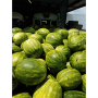 82FA8AFC-368B-4BED-A862845140162272.png