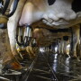 DT_Dairy_Milkers_Parlor