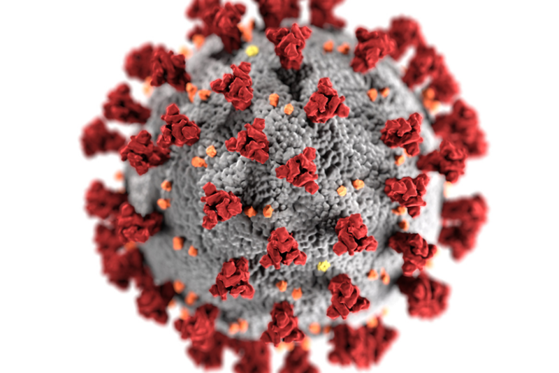 Coronavirus