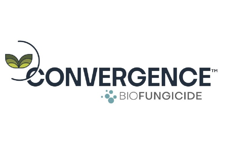 ConvergenceLogo-01.jpg