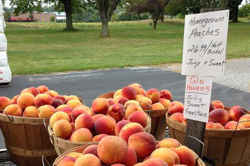 The Packer is looking for insight on local produce marketing.
