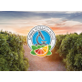 citrus research board