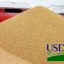 USDA-soybean-pile2.jpg
