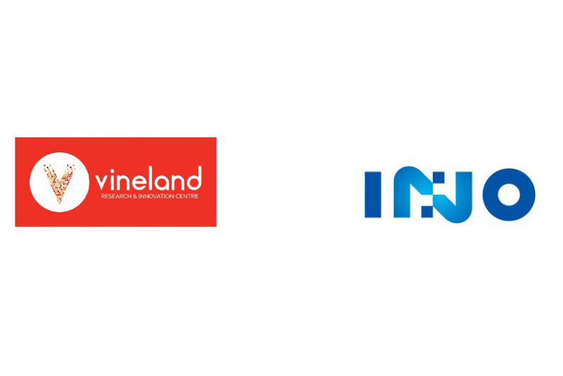 vineland ino