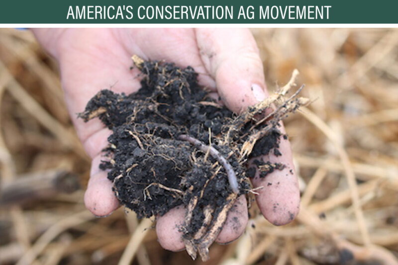 Farmers aren't the only ones who like healthy soils--so do earthworms.