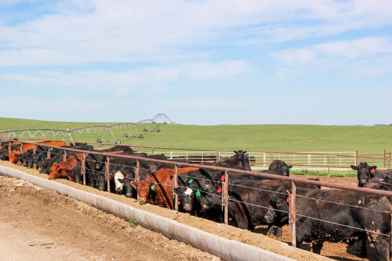 Zeman Ranch
