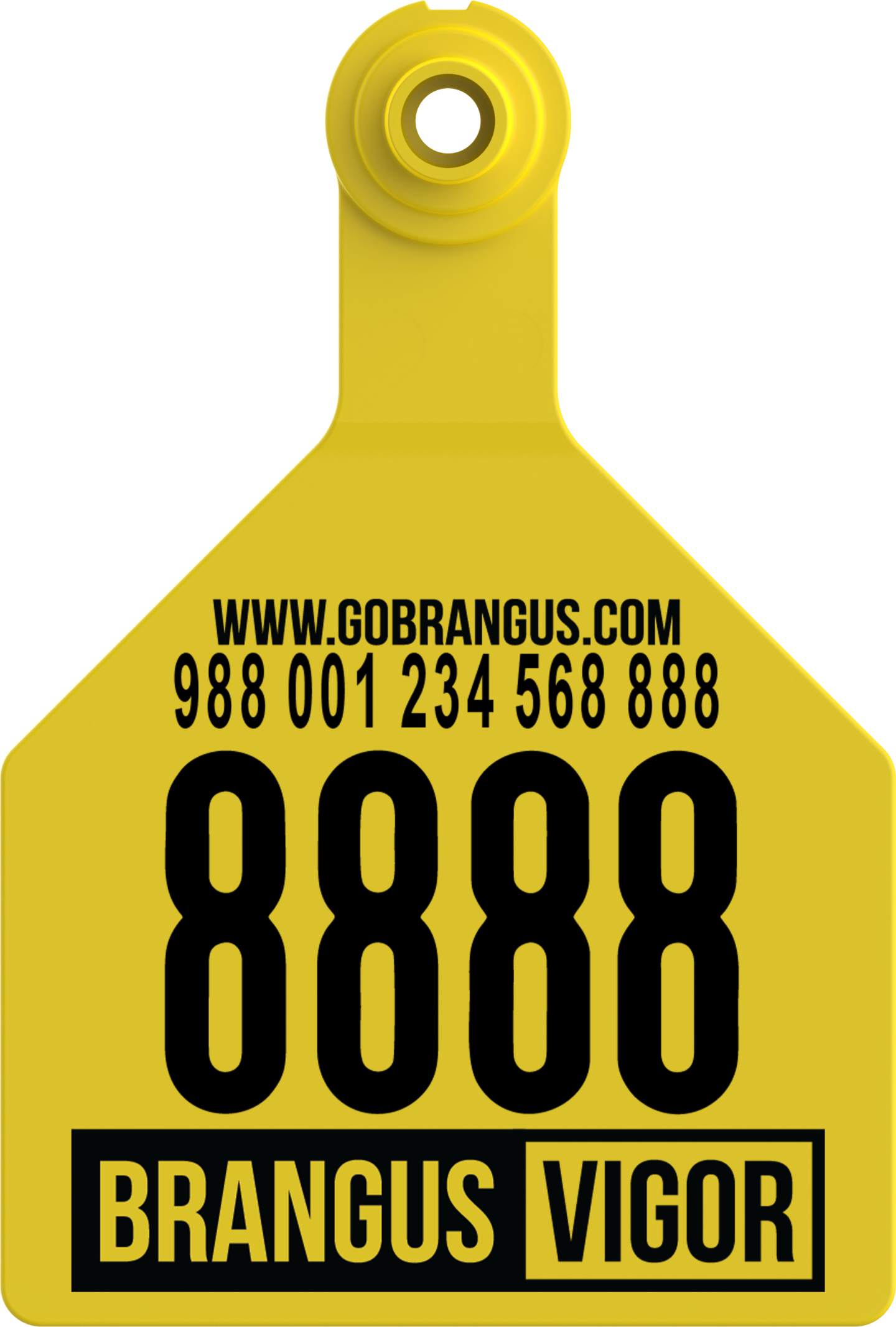 Brangus_Stockman%20(002).jpg