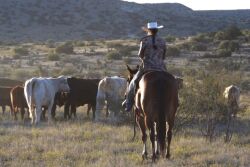 Ranch