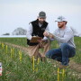 G&R Farms